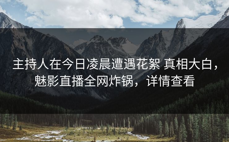 主持人在今日凌晨遭遇花絮 真相大白，魅影直播全网炸锅，详情查看